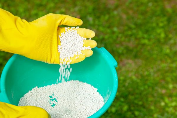 Turf Fertilizing
