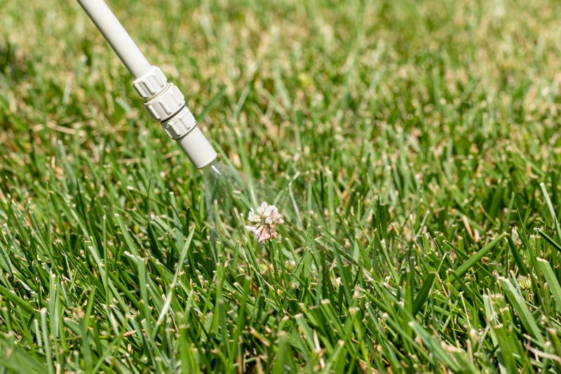 Lawn Weed Control in Rockwall, TX