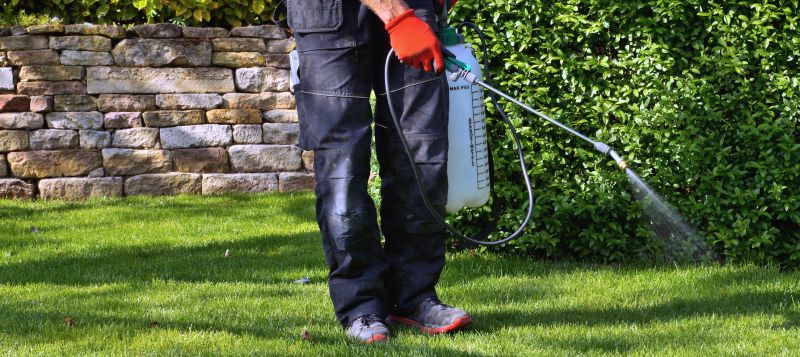 Lawn Weed Treatment in Aiken, SC