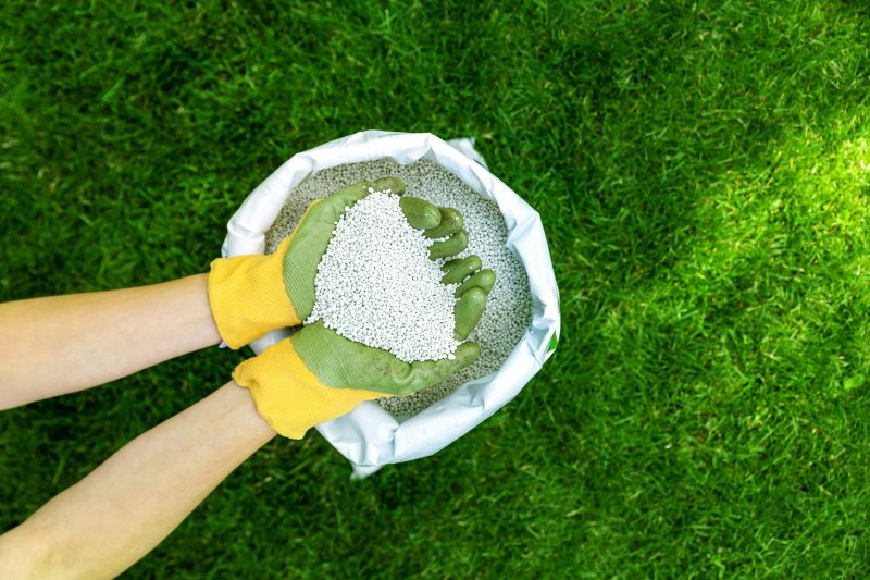 Yard Fertilizing Service in Honolulu, HI